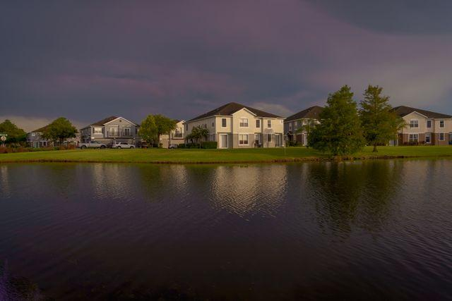 silver springs shores houses next to a body of water